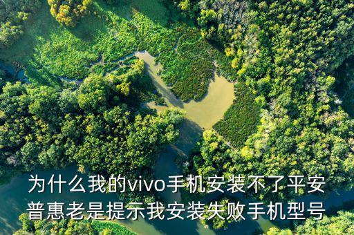 為什么我的vivo手機(jī)安裝不了平安普惠老是提示我安裝失敗手機(jī)型號