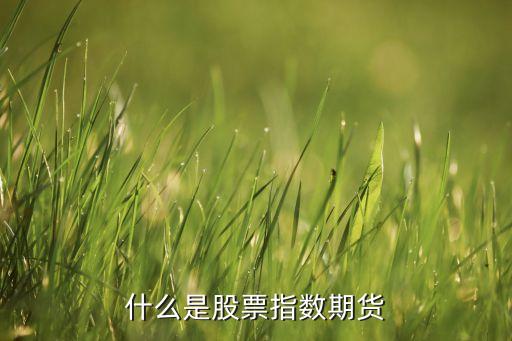 股票指數(shù)期貨是什么意思，什么是股票指數(shù)期貨