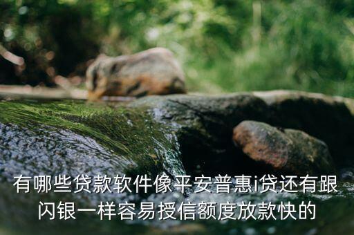有哪些貸款軟件像平安普惠i貸還有跟閃銀一樣容易授信額度放款快的
