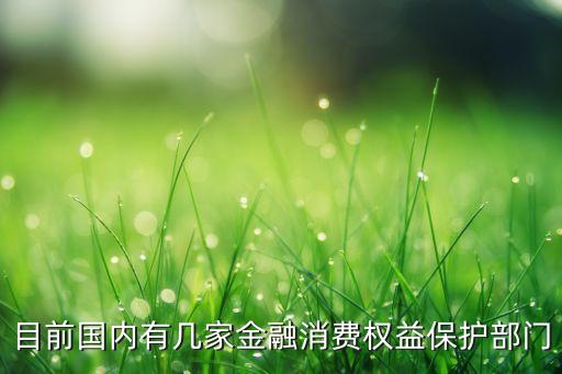 目前國內(nèi)有幾家金融消費(fèi)權(quán)益保護(hù)部門
