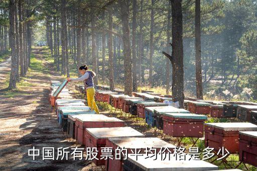 中國所有股票的平均價(jià)格是多少