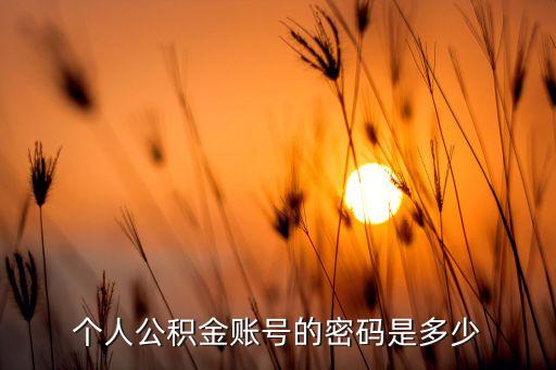個(gè)人的住房公積金查詢(xún)密碼是什么，公積金查詢(xún)密碼是什么