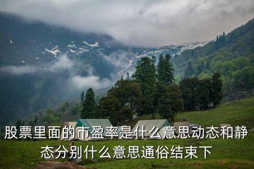 股票里面的市盈率是什么意思動態(tài)和靜態(tài)分別什么意思通俗結束下