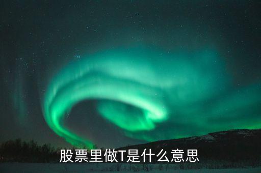 股票t是啥意思是什么意思是什么意思嗎，股票的T指標(biāo)是什么意思