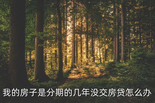 我的房子是分期的幾年沒交房貸怎么辦