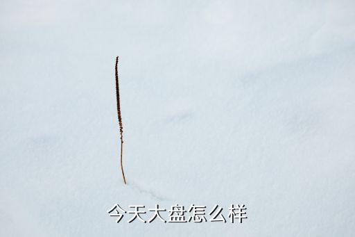 今天大盤什么情況，今天大盤怎么樣