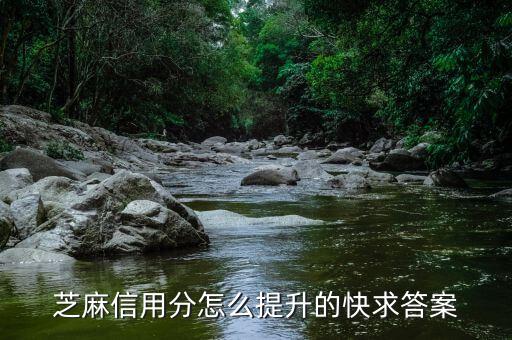 北京芝麻信用怎么提高，提高芝麻分的20個技巧