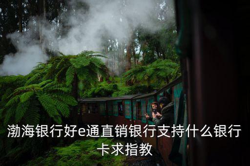 渤海銀行好e通直銷銀行支持什么銀行卡求指教