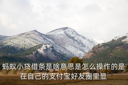 和支付寶借款的軟件是什么意思，支付寶里借錢app是什么啊