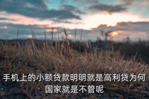 手機上的小額貸款明明就是高利貸為何國家就是不管呢