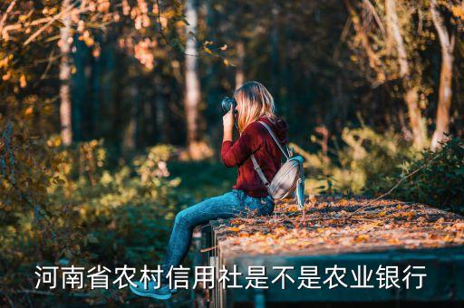 河南農(nóng)商銀行是什么，河南省農(nóng)村信用社是什么銀行