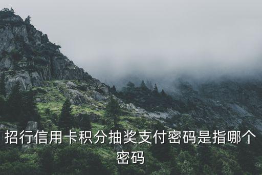 招行信用卡積分抽獎(jiǎng)支付密碼是指哪個(gè)密碼