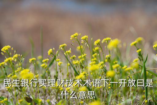 民生銀行買理財技術(shù)術(shù)語下一開放曰是什么意思