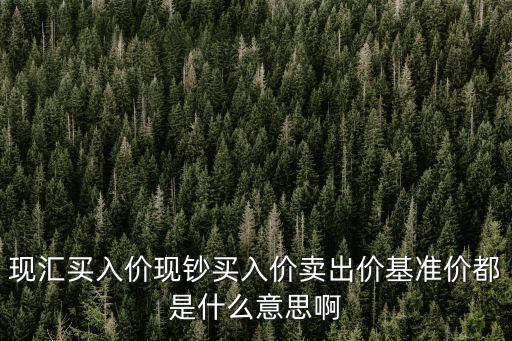 現(xiàn)匯買入價現(xiàn)鈔買入價賣出價基準(zhǔn)價都是什么意思啊