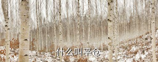什么是對(duì)沖平倉(cāng)，什么叫金融衍生工具都有哪些常見(jiàn)種類