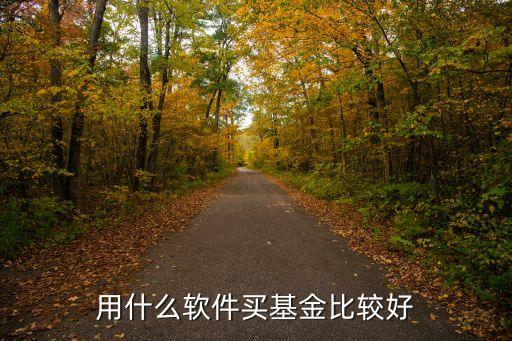 網(wǎng)上買基金用什么買，如何在網(wǎng)上買基金