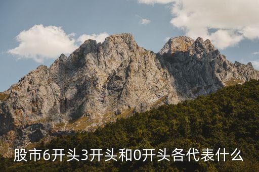 股市6開頭3開頭和0開頭各代表什么