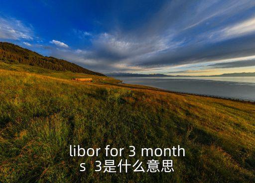 利率 30bp 是什么意思，libor for 3 months  3是什么意思