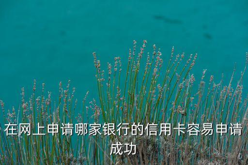 在網(wǎng)上申請哪家銀行的信用卡容易申請成功