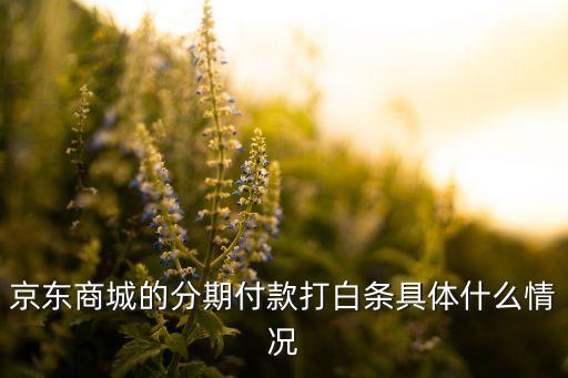 打白條每期什么意思，京東商城的分期付款打白條具體什么情況