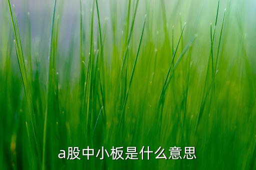 中小板是什么東西，中小板塊是什么意思啊