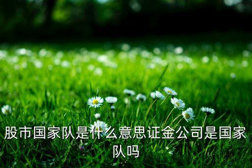 股市的國(guó)家隊(duì)是什么意思，股市里說的國(guó)家隊(duì)指的是誰啊