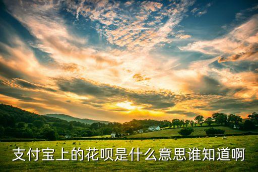 支付寶上的花唄是什么意思誰(shuí)知道啊