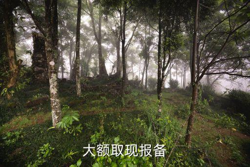 大額取現報備