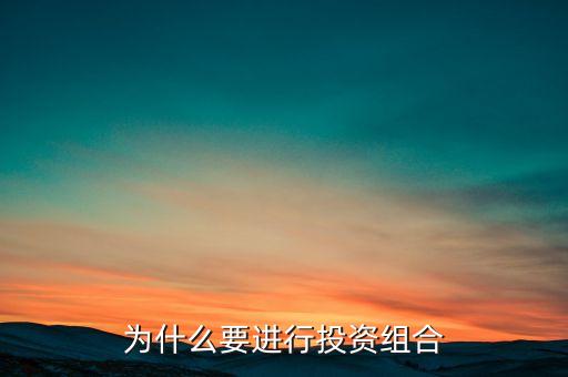 為什么要進(jìn)行投資組合