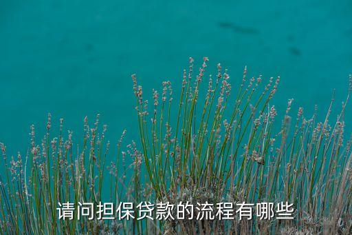 薪保貸采用什么方式，請(qǐng)問(wèn)擔(dān)保貸款的流程有哪些