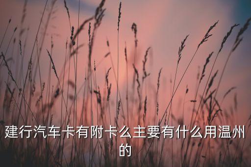 建行汽車卡有附卡么主要有什么用溫州的