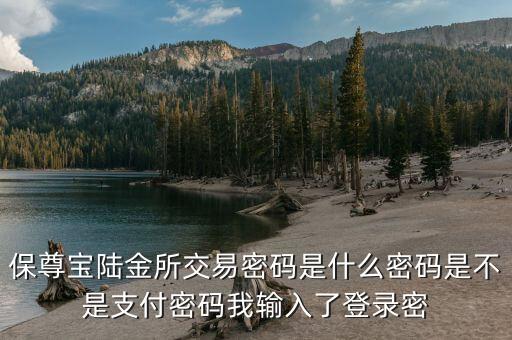 保尊寶陸金所交易密碼是什么密碼是不是支付密碼我輸入了登錄密