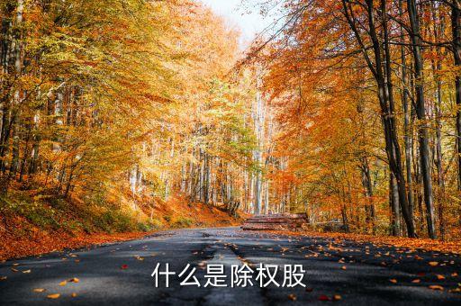 什么叫除權股，什么是除權股