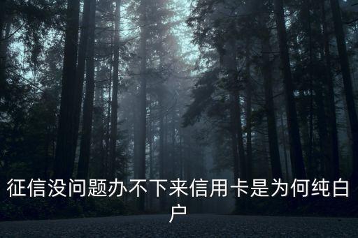 征信沒問題辦不下來信用卡是為何純白戶