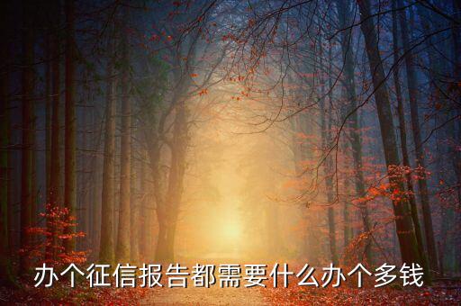 辦個征信報告都需要什么辦個多錢