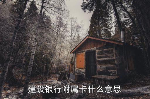 建設(shè)銀行附屬卡什么意思