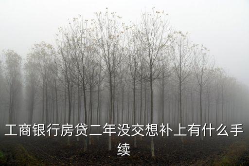 工商銀行房貸二年沒交想補(bǔ)上有什么手續(xù)