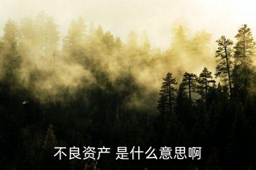 不良資產(chǎn) 是什么意思啊