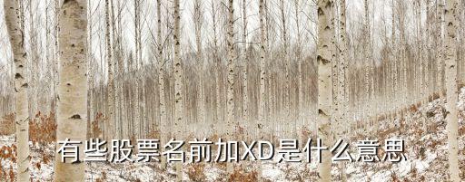股票前xd是什么意思，股票XD是什么意思的