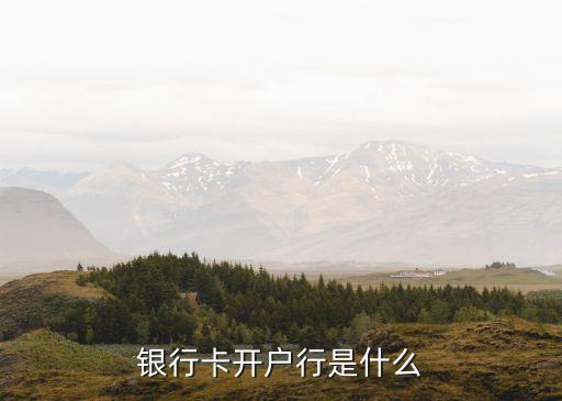 開卡銀行是什么，銀行卡開戶行是什么