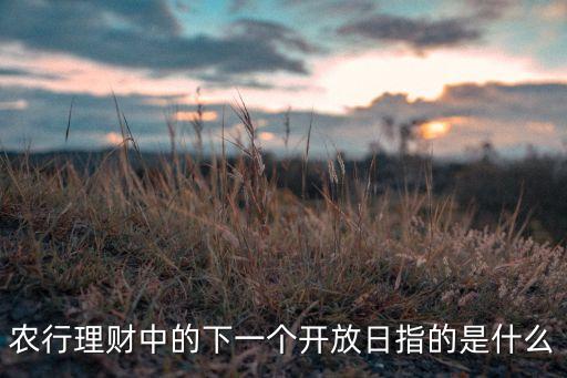 農(nóng)行理財中的下一個開放日指的是什么