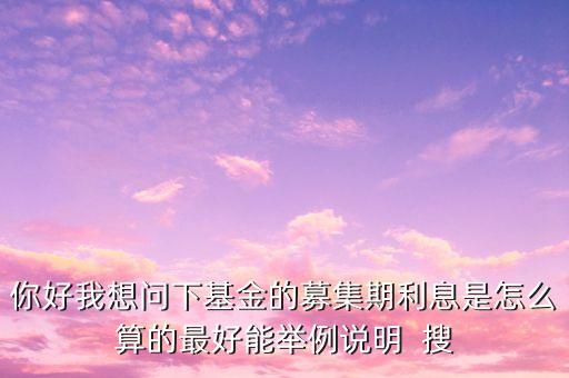 你好我想問下基金的募集期利息是怎么算的最好能舉例說明  搜