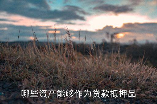 哪些資產(chǎn)能夠作為貸款抵押品