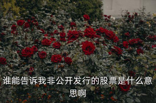 誰能告訴我非公開發(fā)行的股票是什么意思啊