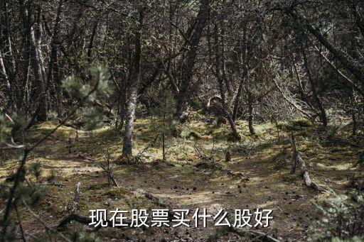 b股買什么好，現(xiàn)在股票買什么股好