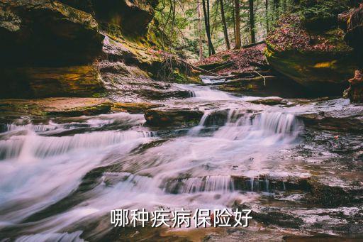 哪種疾病保險(xiǎn)好
