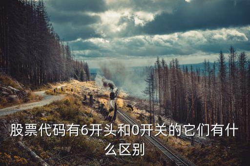 股票代碼有6開頭和0開關的它們有什么區(qū)別