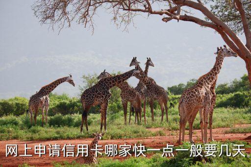 交行網(wǎng)申什么卡快，網(wǎng)上申請(qǐng)信用卡哪家快一點(diǎn)一般要幾天