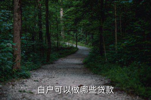 白戶可以做哪些貸款