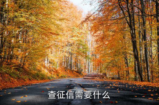 查征信需要什么